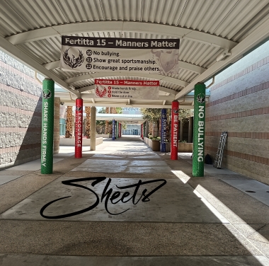 school columns wrapped